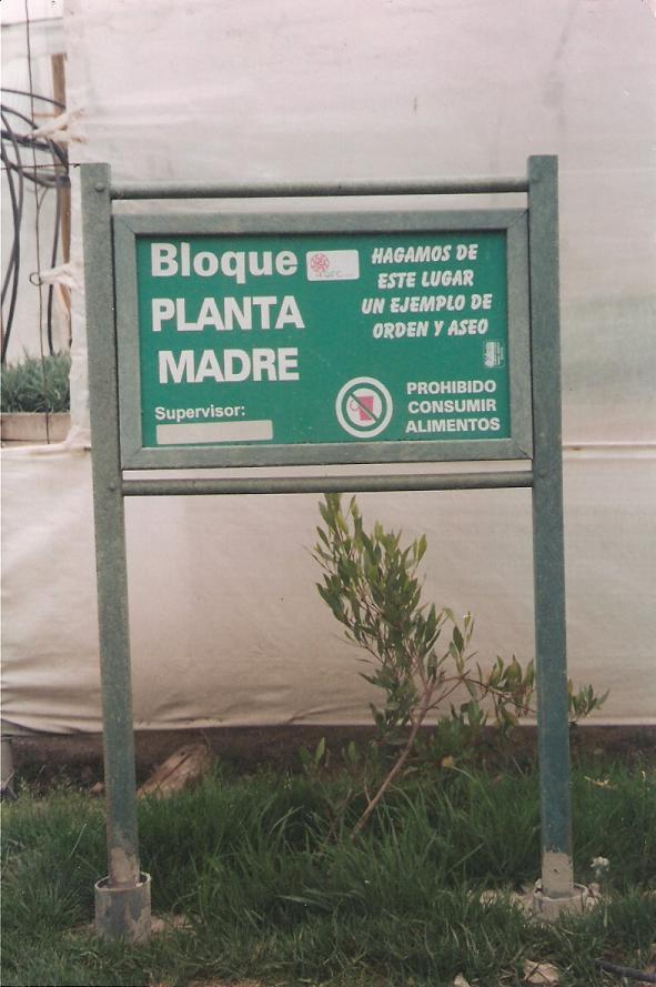 cultivadores en invernaderos avisos y señalización de fumigación aviso de peligro fumigación dentro bajo invernadero aviso señales de peligrosos fumigando señalizar zonas cultivo invernadero 01 cultivadores en invernaderos avisos y señalización de fumigación aviso de peligro cultivadores en invernaderos avisos y señalización de fumigación aviso de peligro fumigación dentro bajo invernadero aviso señales de peligrosos fumigando señalizar zonas cultivo invernadero 01 fumigación dentro bajo invernadero aviso señales de peligrosos fumigando señalizar zonas cultivo invernadero 01
